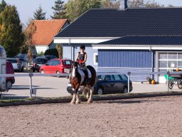 IMG_7244_web